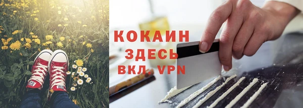 дмт Аркадак