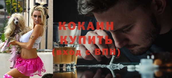 дмт Аркадак