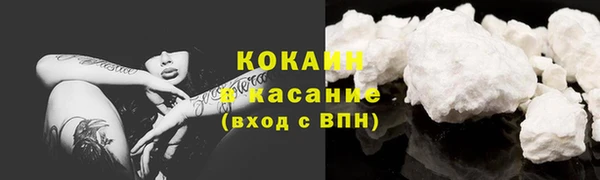 дмт Аркадак
