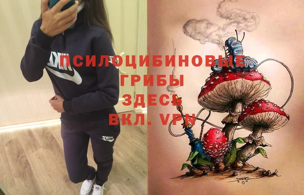 дмт Аркадак