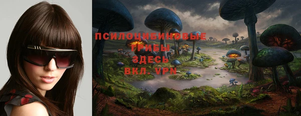 дмт Аркадак