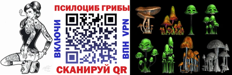 Галлюциногенные грибы прущие грибы  дарнет шоп  Прохладный 